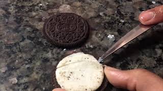 Let’s make a Oreo moon phase project!!