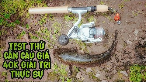 Sử dụng cần câu giá rẻ câu lure cá lóc hiệu quả thì không thấy nhưng giải trí thực sự | Tê Ta Vlog