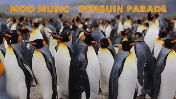 Moo Music - Penguin Parade