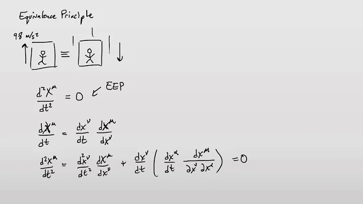 General Relativity | The Einstein Equivalence Principle