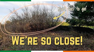 Heavy Land Clearing Progress | Brambles, Trees & Big Property Changes