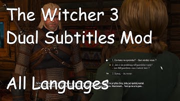 I made a The Witcher 3 dual subtitles mod: Learn any language