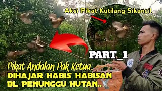 NGERII.‼️ Pikat Adalah Berhadapan BL Penunggu Hutan. PART-1..