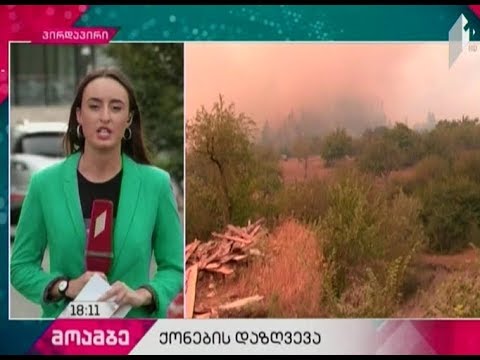 გახდება თუ არა საქართველოში ქონების დაზღვევა სავალდებულო