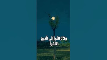 تلاوة ممتعة لسورة هود الآية (112-113)