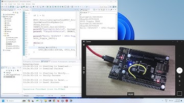 Hello CH32V307, flash & run GPIO_Toggle example on CH32V307V_EVT-R1, to blink LED and monitor USART.