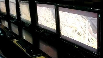 SP9016A a/b/g/n AP router for 50 concurrent users