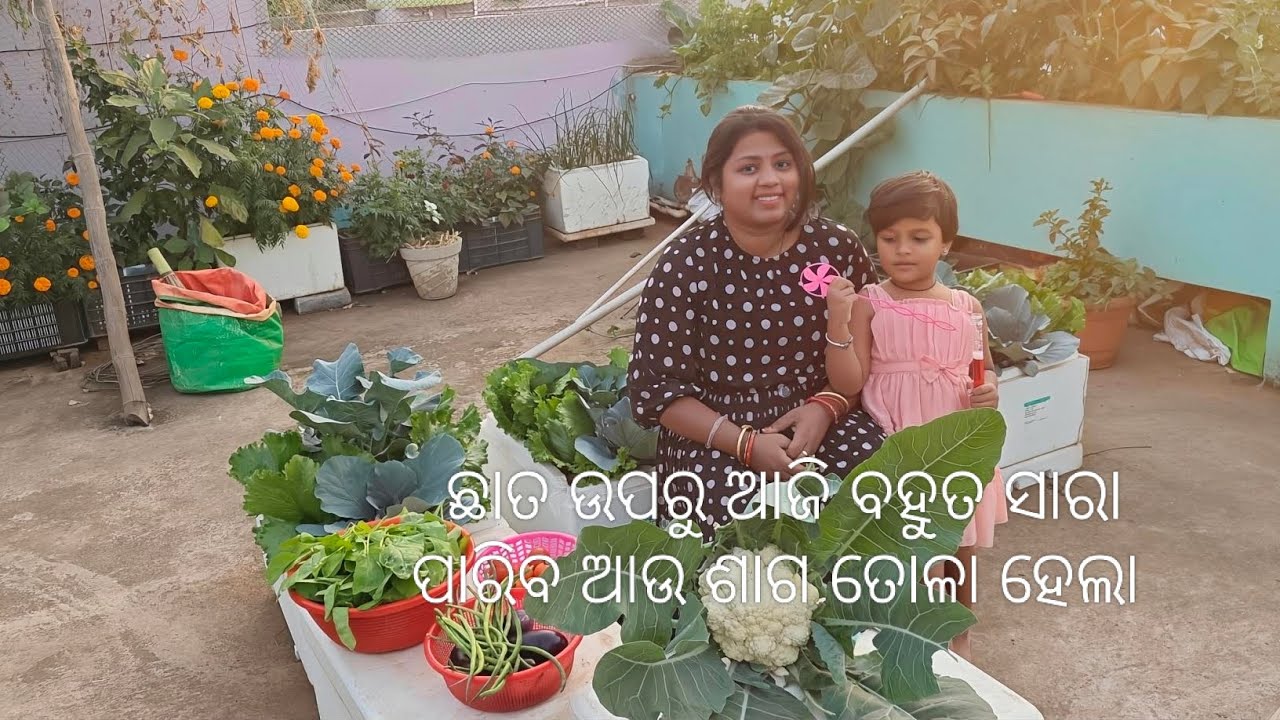 ଛାତ ଉପରୁ ଆଜି ବହୁତ ସାରା ପାରିବ ଆଉ ଶାଗ ତୋଳା ହେଲା 