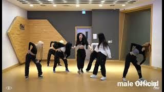 TWICE - 'ICON' Dance Practice (Magic Dance)