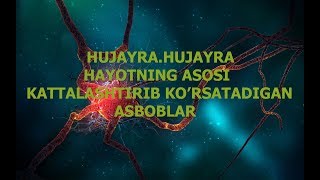 Hujayra.hujayra-Hayotning Asosi Kattalashtirib Korsatadigan Asboblar.