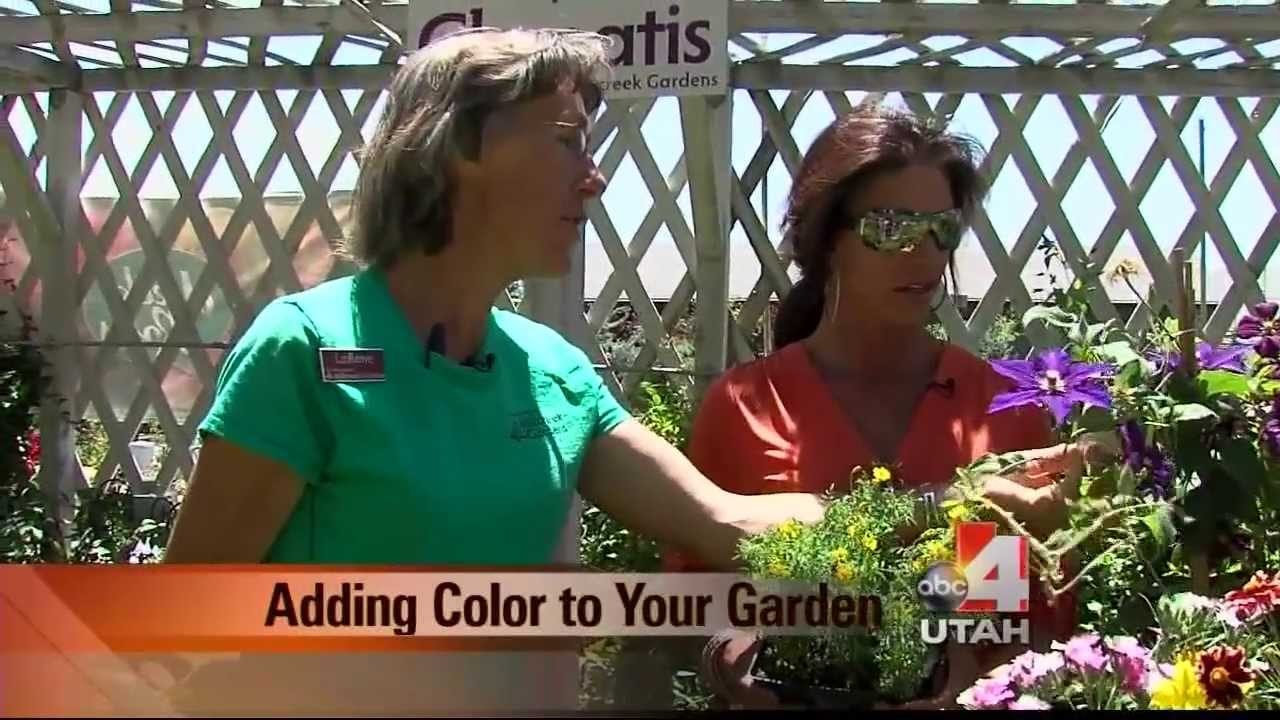 Adding Color to Your Garden