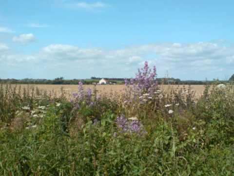 Roger Quilter - Shepherd Song - John Alderton pian...