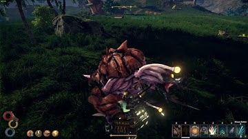 [Test] Pépin le palamag | Build Outward