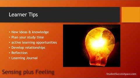 MBTI ISFP Learning Style