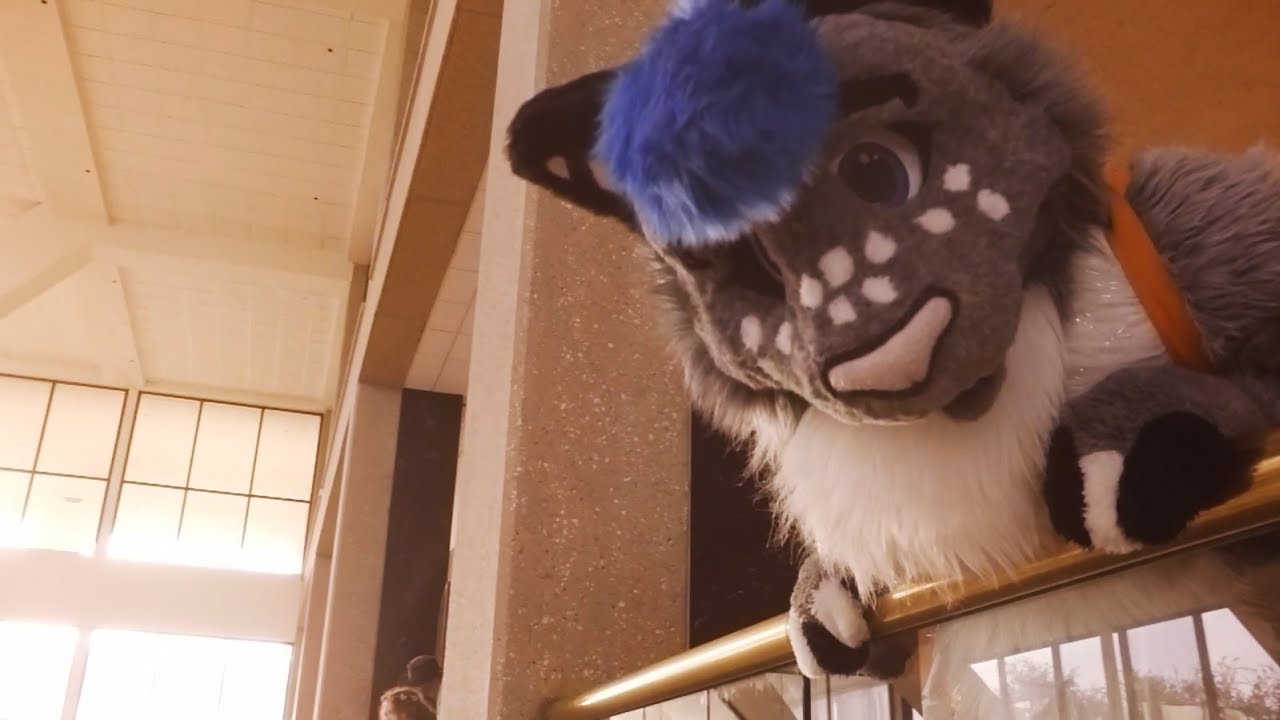 Apari's Texas Furry Fiesta 2016 Con Video (Non Zootopia Song) - YouTube