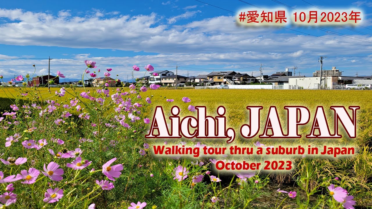 Japan Walking Tour | Suburb in Aichi Prefecture 2023