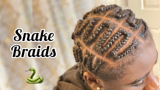 Snake Braids on Black Hair Tutorial | Protective Natural Hairstyles for Teen Boys & Men screenshot 2