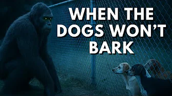 When The Dogs Won't Bark - You've Got A Bigfoot Problem