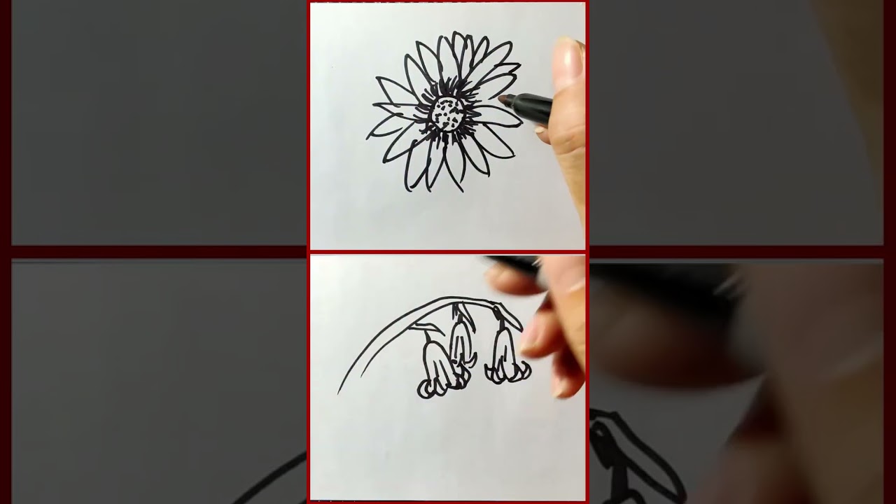 Which one do you like better