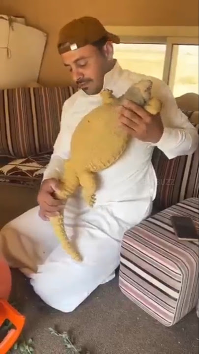 There are people in Saudi Arabia who also eat the meat of this animal #shortsvideo