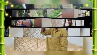 Download Lagu Lagu Hany Gani MP3 Lagu Hany Gani