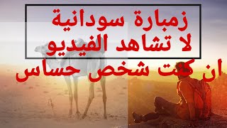 زمبارة سودانية -البادية والأبل