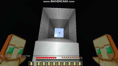 What happens if you fall in the void with a "Totem of Undying"