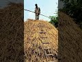 গ্রামীণ পরিবেশ