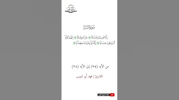 سورة النبأ - من الآيه (25) إلى (28) القارئ فهد أبو شبيب 1445 هـ - 2023 م