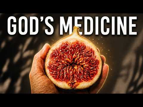 12 Biblical Foods That Reverse Aging Instantly thumbnail