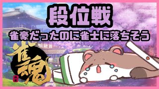 オコジョの成り上がり9　#雀魂　#段位戦