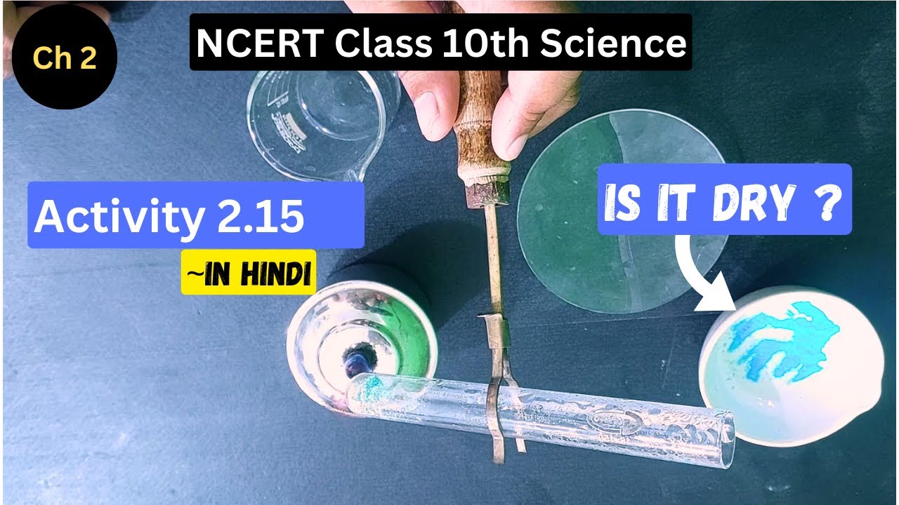 Science Activity 2.15 I Class 10th I NCERT - YouTube