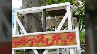 ドイツの森(岡山県)