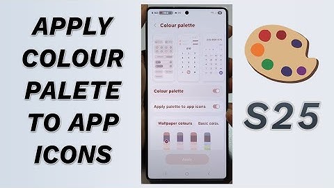 🎨 How to Enable/Disable Apply Colour Palette to App Icons on Galaxy S25/S25+/Ultra