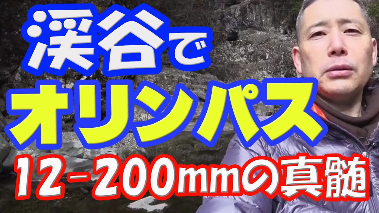 Micro Four Thirds and Zuiko 12-200mm lens to shoot all over