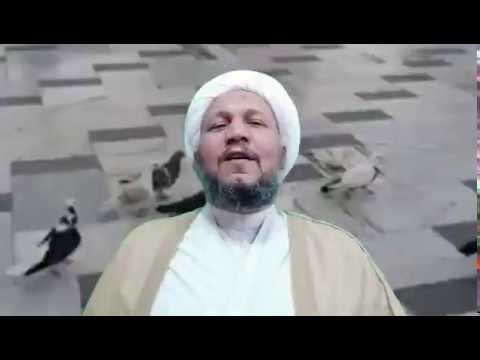 فضل زيارة الامام علي عليه السلام