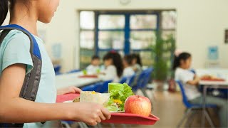 MAPS free summer meal program returns