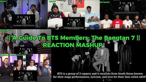 A Guide To BTS Members: The Bangtan 7 || REACTION MASHUP