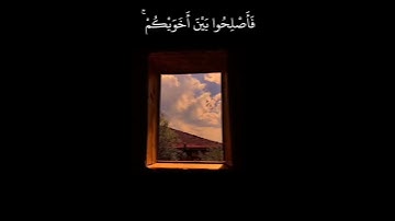 حالات واتس اب قرآن كريم بصوت جميل جداً / القارئ احمد النفيس (إنّما المؤمنون إخوة فأصلحوا بين أخويكم)