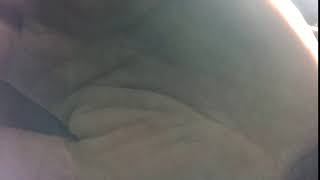 WIN 20200519 10 50 41 Pro