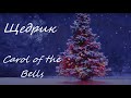 World hit - Shchedryk / Щедрик - Carol of the Bells - in Ukrainian, French, English, Italian, Arabic