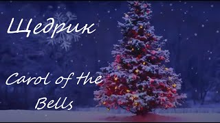 World hit - Shchedryk / Щедрик - Carol of the Bells - in Ukrainian, French, English, Italian, Arabic