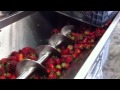 Crushing strawberries