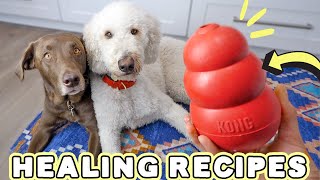 5 HEALTHY KONG RECIPES!  Fixing allergies, anxiety & bad breath in my dogs