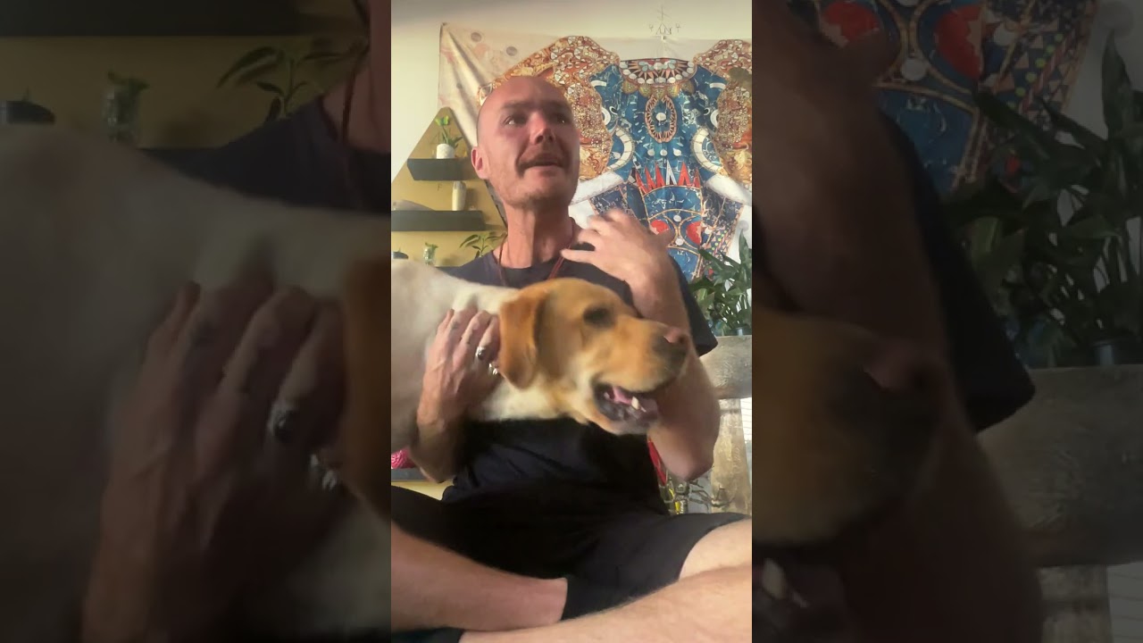 Pick A Card - Why Are They Acting This Way / How Do They Feel About You?