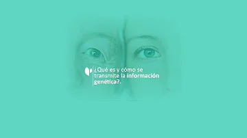 ¿Cómo se transmite el ADN femenino?