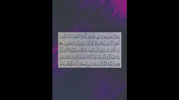 سورة فصلت- القارئ الشيخ خالد الجليل 🍁