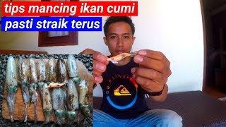 HOW TO CATCH SQUID || SQUID FISHING TIPS