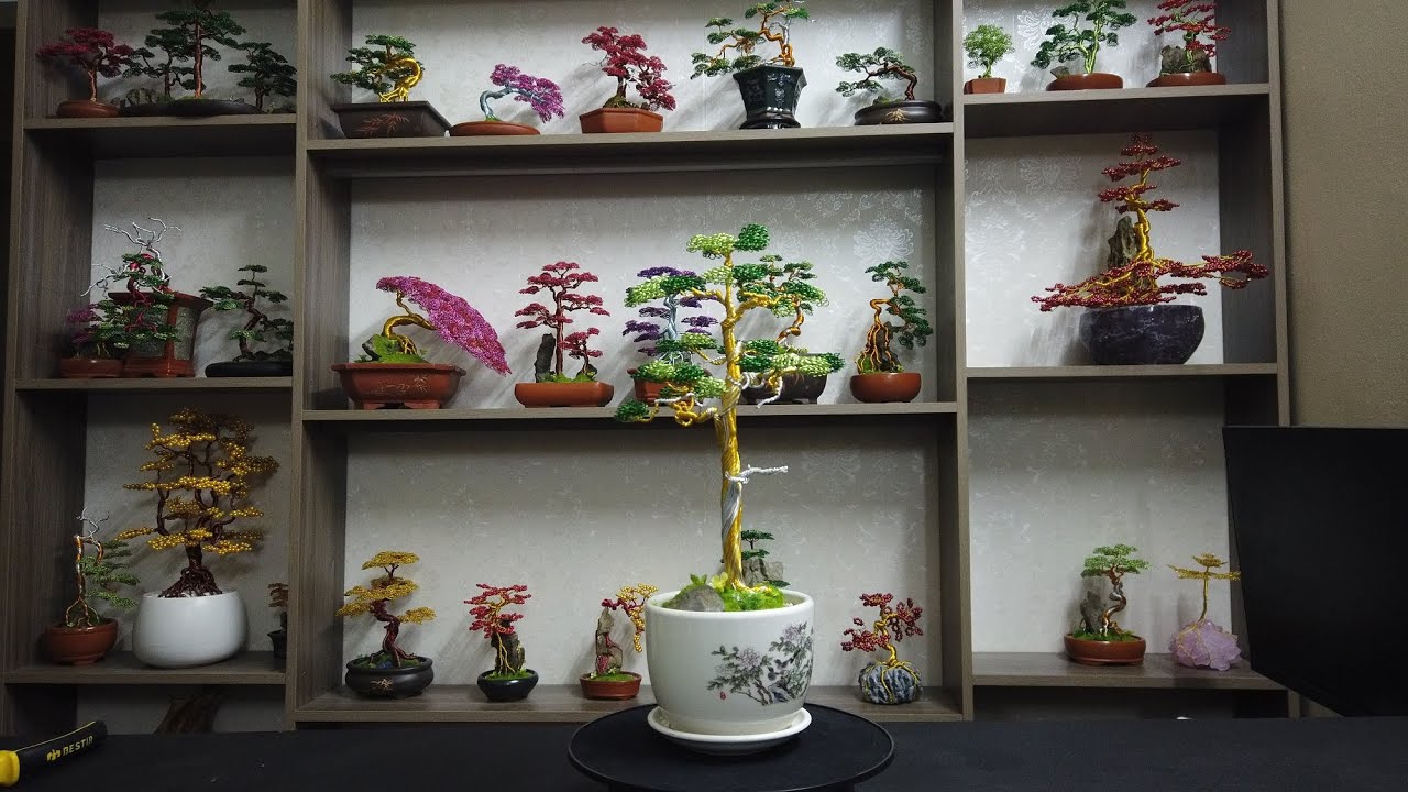 Bosai dáng trực Bonsai TV YouTube