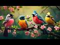 Soothing Piano Bird Sounds For Stress Relief No Ads Boost Your Mood Calm Your Soul Inner Peace 